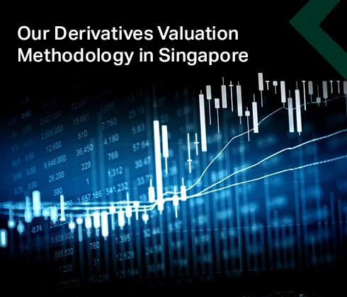 Our Derivatives Valuation Methodology