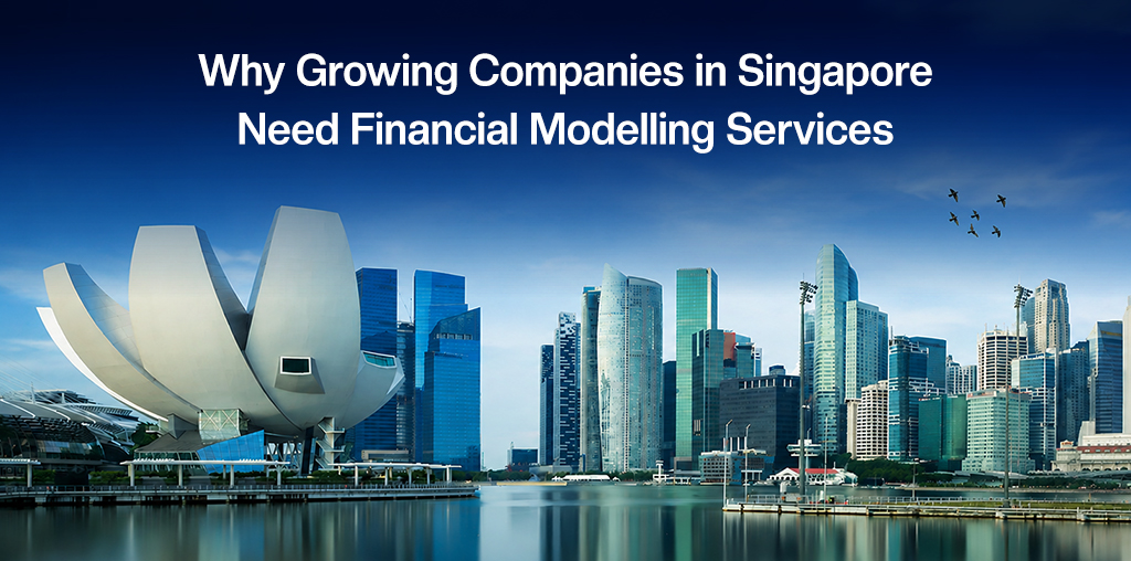 Why Growing Companies in Singapore Need Financial Modelling Services Financial Modelling Services