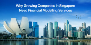 Financial Modelling Services