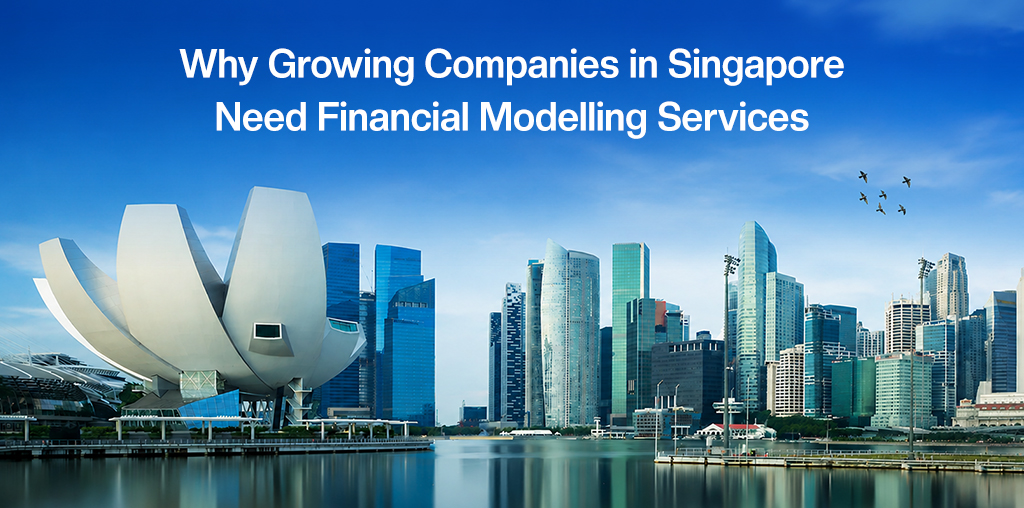 Financial Modelling Services